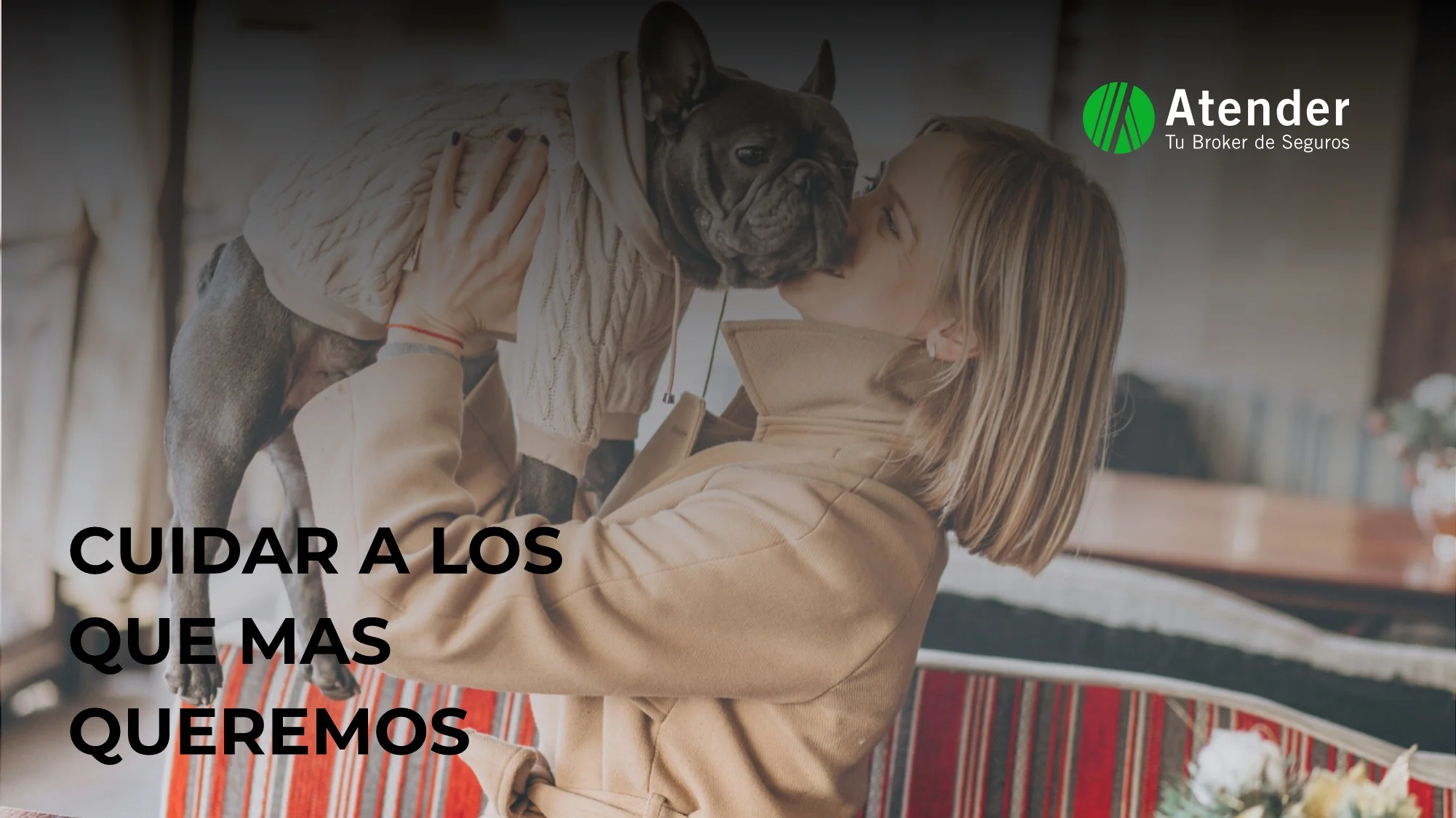 Seguros para el Cuidado de tu Mascota: Todo lo que Necesitas Saber en 2024
